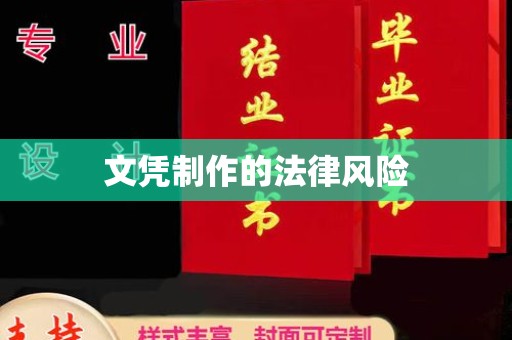 保税港区文凭制作的法律风险